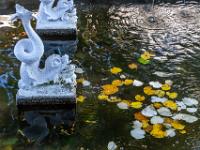 Wasserspeier am Springbrunnen und Herbstlaub im Wasser - Lamego